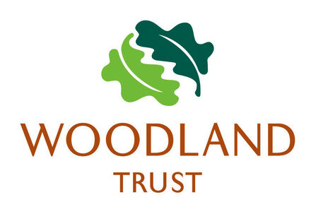 The Woodland Trust Logo, their name and graphics of two oak leaves above