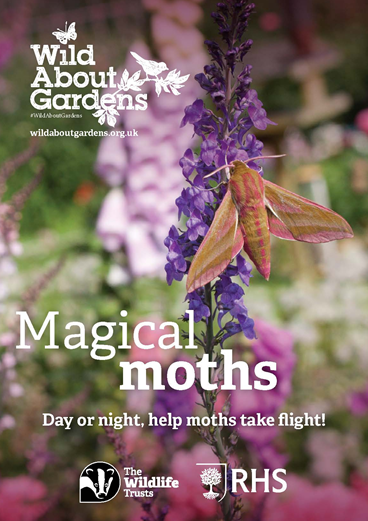 Magical Moths booklet
