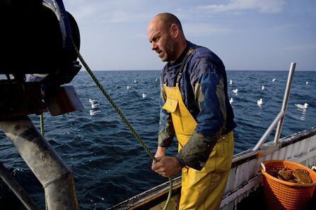 Fisherman pulling up lobster pots Toby Roxburgh/2020VISION