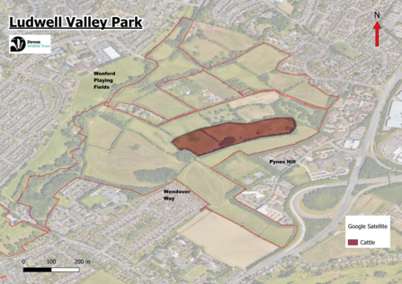 Cattle location at Ludwell May 2026