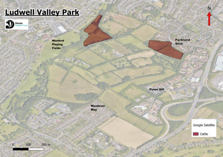 map of ludwell with two fields highlighted for the approximate cattle location