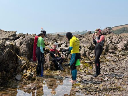 Snorkel safari at Wembury Marine Centre