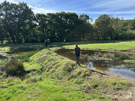 pond in field