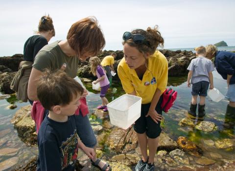 Rockpooling with Wembury Marine Centre volunteers