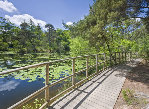Board walk at Bystock Pools nature reserve 