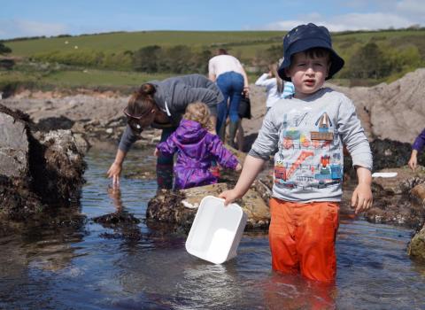 Child on a rockpool ramble at Wembury beach