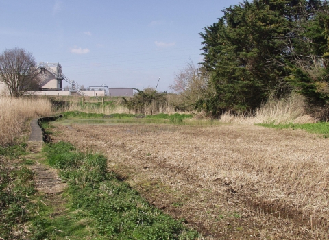 Devon Wildlife Trust's Old Sludge Beds