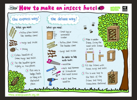 Make an insect hotel activity sheet