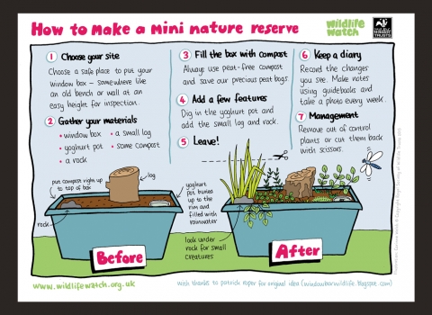 DWT mini-nature reserve activity sheet