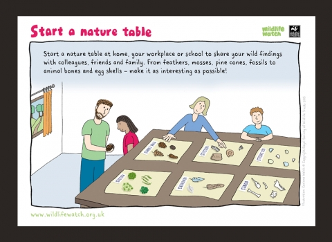 Start making a nature table