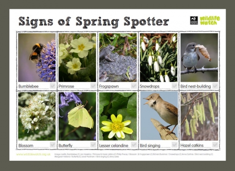 DWT signs of Spring spotter sheet
