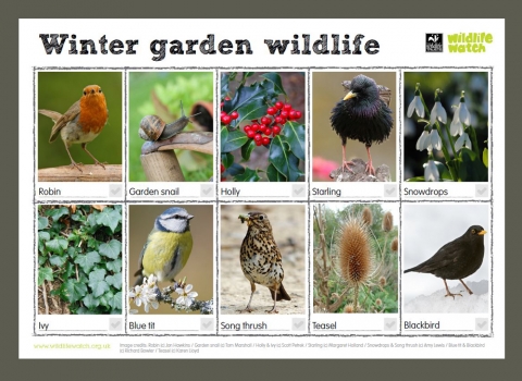 DWT winter garden wildlife spotter sheet