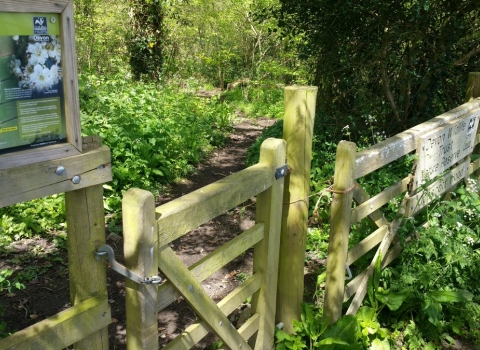 Entrance to Uppacott Wood