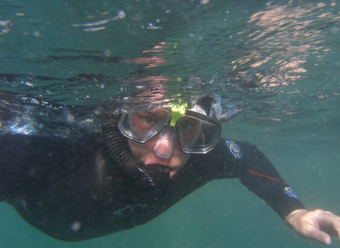 Someone snorkelling at Wembury