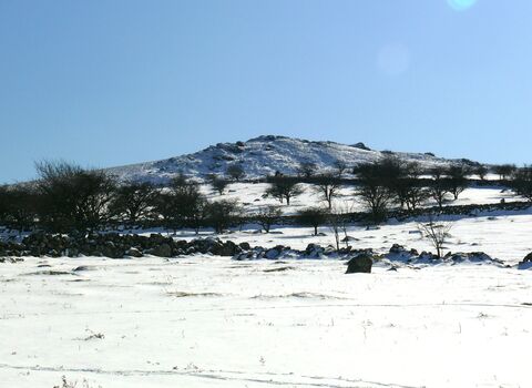 Emsworthy nature reserve in the snow