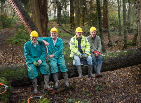 Mike, Bernard, John and John sat on a tree with hard hats on