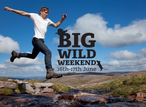 Leaping into the Big Wild Weekend