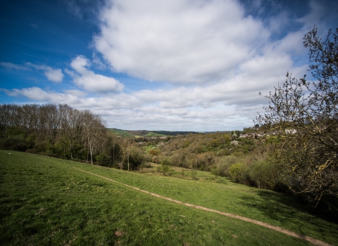 Belvidere Valley Park