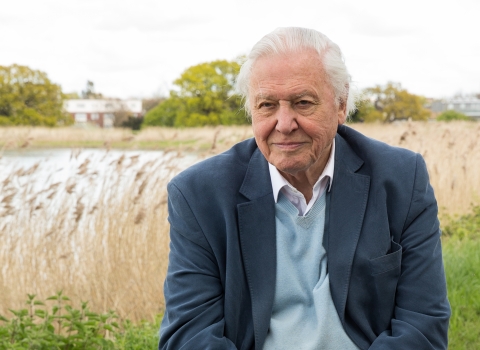 Sir David Attenborough