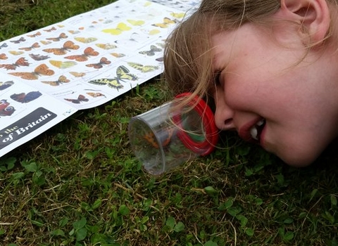 Butterfly hunting