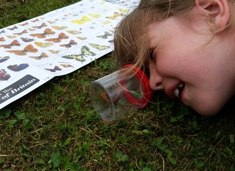 Butterfly hunting