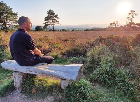 Man sits on bench overlooking heathland