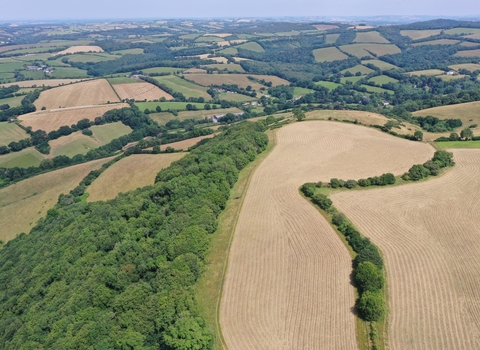 Aerial shot of Woodah farm taken by Alan Puttock during field surveys
