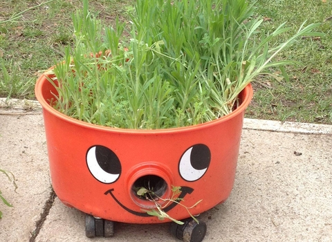 Plant container made from hoover