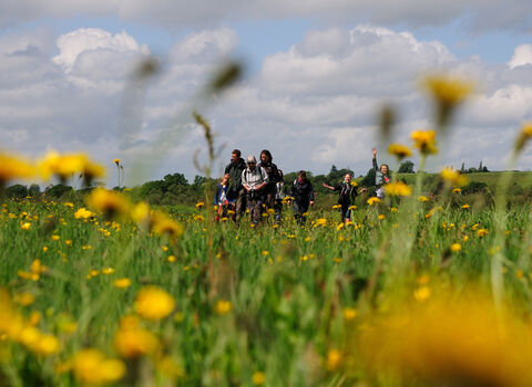 Group walking through a wildflower meadow