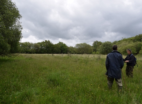 DWT land advisor on NDNS project advising landowner on grassland as they stand in field