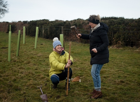 One person holding a stick in the ground while another hammers it into the ground