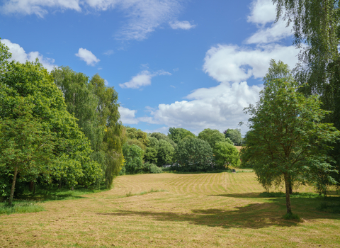 Sunny field, surrounded by tree's taken at Northbrook Park