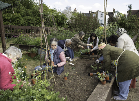 A group of people of varying ages and ethnicities gardening in a raised bed in an urban environment