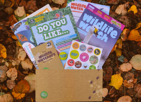 Wildlife watch magazine, booklet, leaflet and stickers in a folder