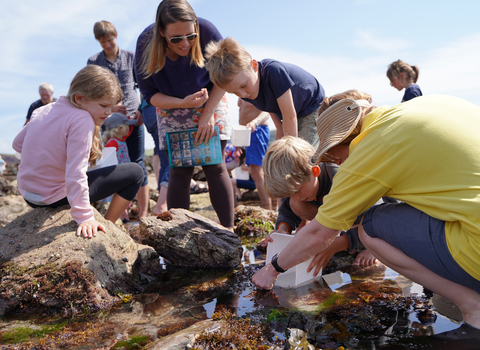 Family rockpooling.