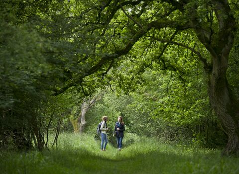 people in wood wildlife trust