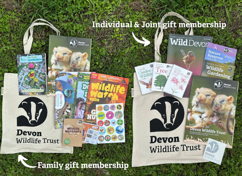 Gift membership packs