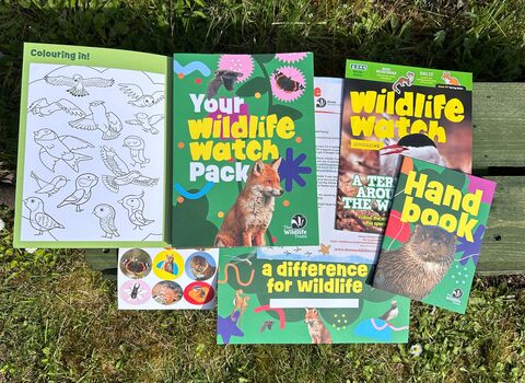 Wildlife Watch Pack for children