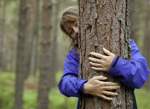 lady with tree markhamblin